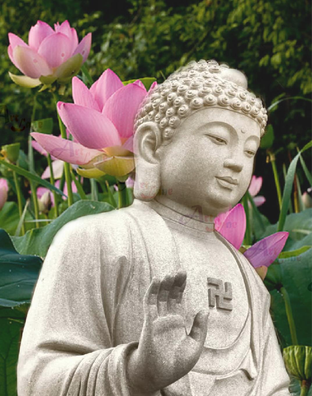 Customize 5 Customize 5