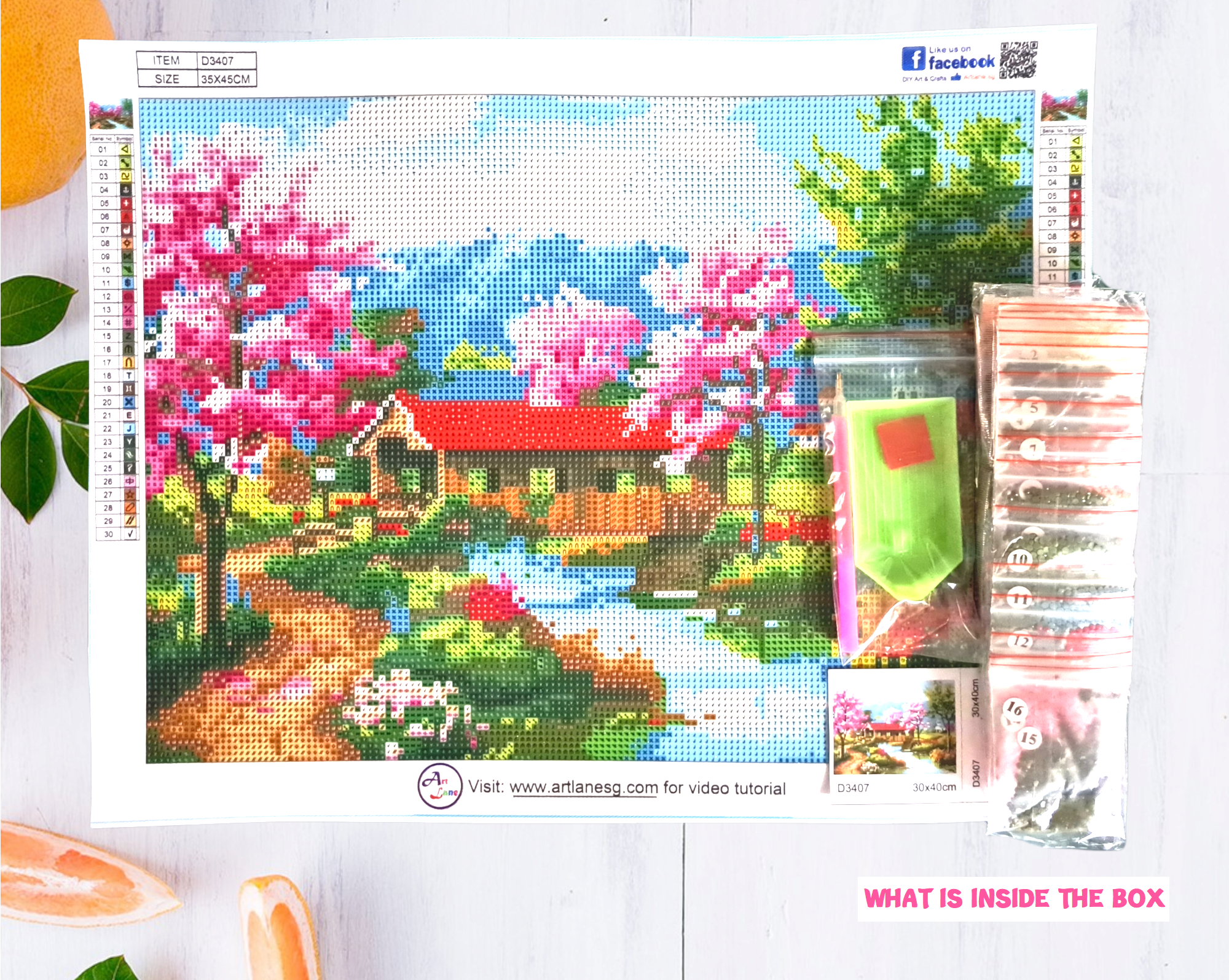 New Diamond Painting Content