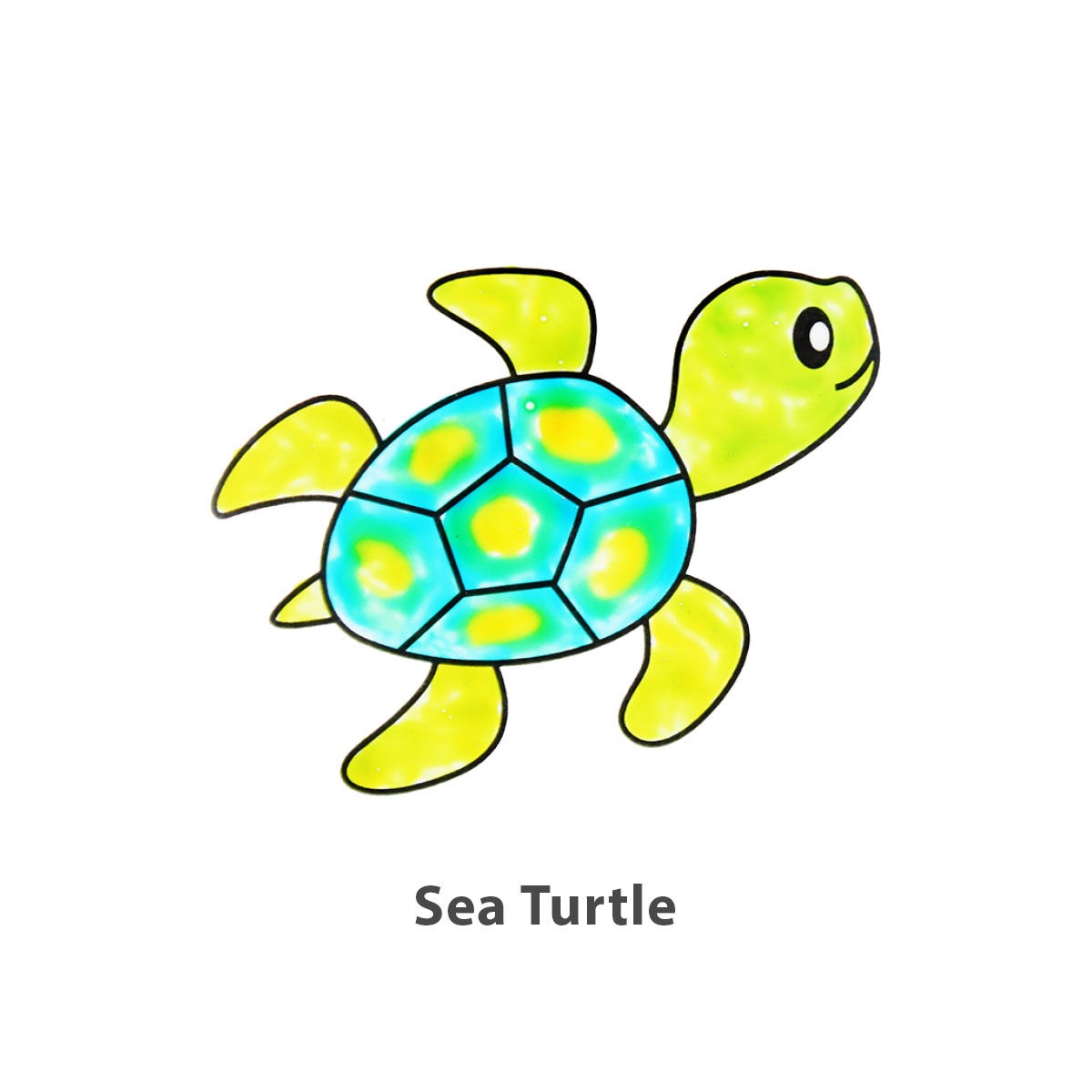 SC-WD1-Sealife-10